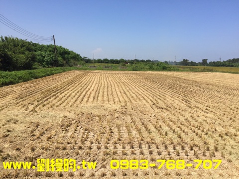 大桃園工業地廠房www.劉縵昀.tw 0983-768707提供,新屋景碩科技旁農+建,劉縵昀-桃園工業廠房交易網,觀音工業用地,(Fun91-房交易),中壢工業用地,中壢廠房廠辦,,(HouseWeb)平鎮廠房廠辦,平鎮工業用地,八德廠房廠辦,龜山工業用地,蘆竹工業廠房,楊梅工業用地,新屋廠房廠辦,南崁工業用地,大園工業用地,大園工業廠房